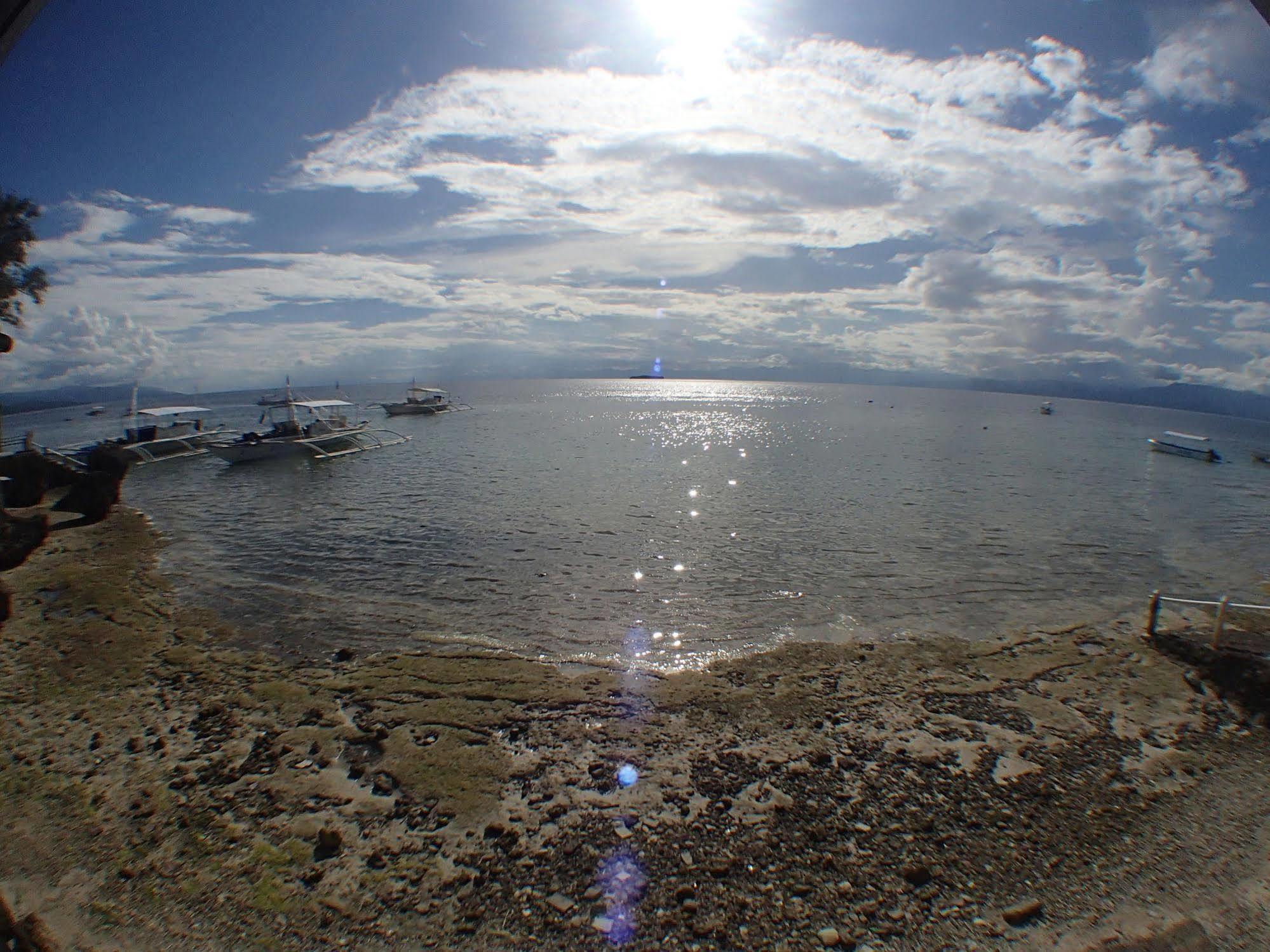 Pescadores Suites Moalboal Bagian luar foto