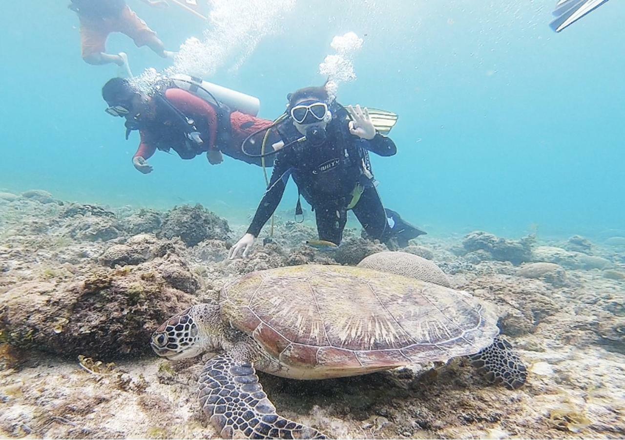 Pescadores Suites Moalboal Bagian luar foto